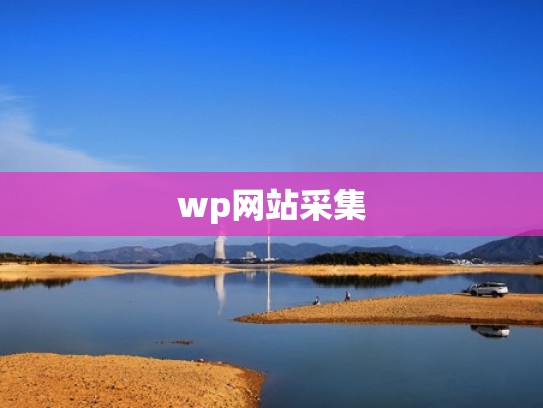 wp网站采集