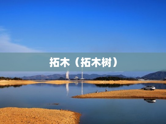 拓木（拓木树）