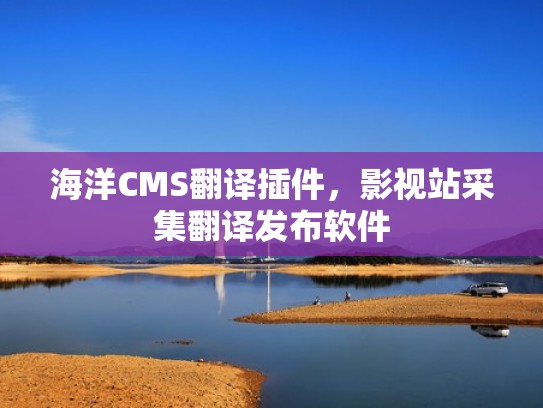 海洋CMS翻译插件，影视站采集翻译发布软件