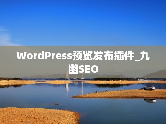 WordPress预览发布插件_九幽SEO