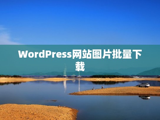 WordPress网站图片批量下载