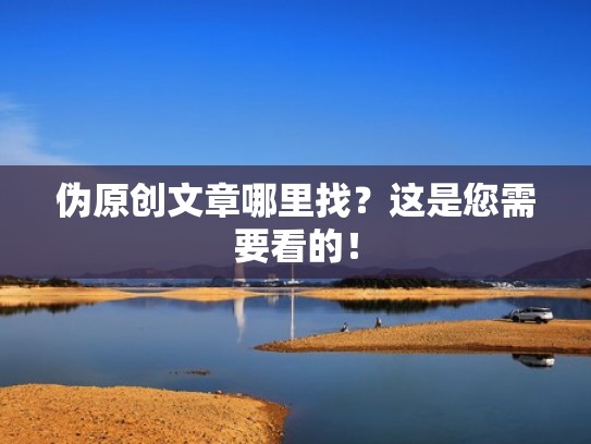 伪原创文章哪里找？这是您需要看的！
