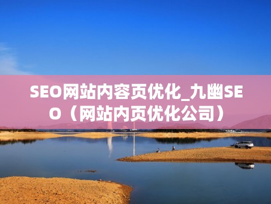 SEO网站内容页优化_九幽SEO（网站内页优化公司）