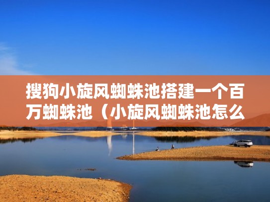 搜狗小旋风蜘蛛池搭建一个百万蜘蛛池（小旋风蜘蛛池怎么引蜘蛛）