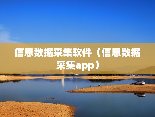 信息数据采集软件（信息数据采集app）