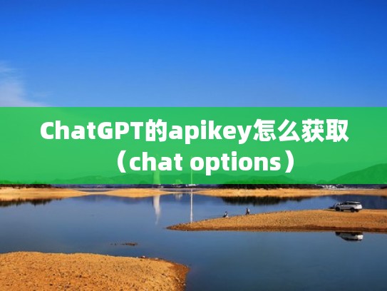 ChatGPT的apikey怎么获取（chat options）