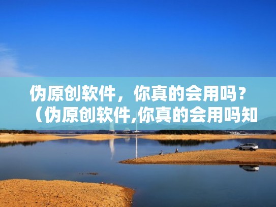 伪原创软件，你真的会用吗？（伪原创软件,你真的会用吗知乎）