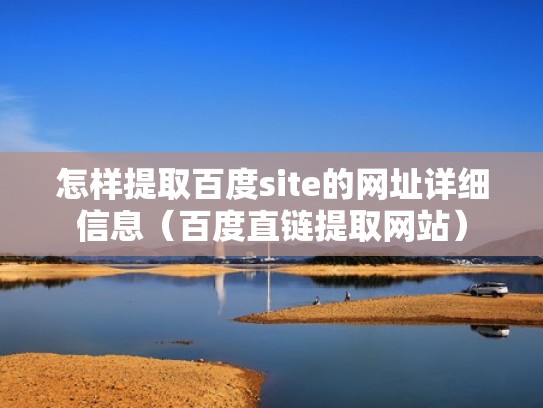 怎样提取百度site的网址详细信息（百度直链提取网站）