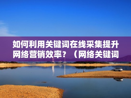 如何利用关键词在线采集提升网络营销效率？（网络关键词抓取）