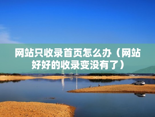 网站只收录首页怎么办（网站好好的收录变没有了）