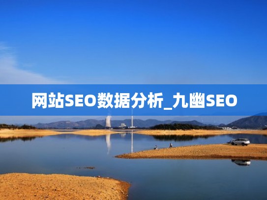 网站SEO数据分析_九幽SEO