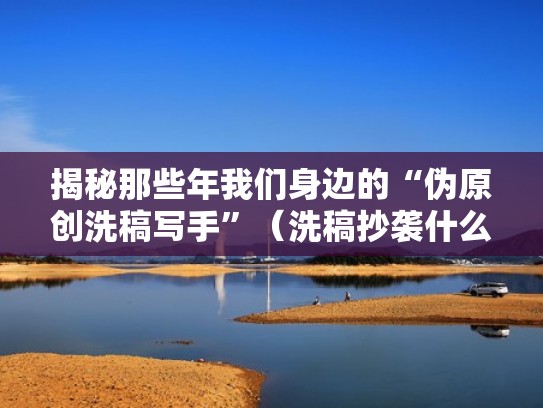 揭秘那些年我们身边的“伪原创洗稿写手”（洗稿抄袭什么意思）