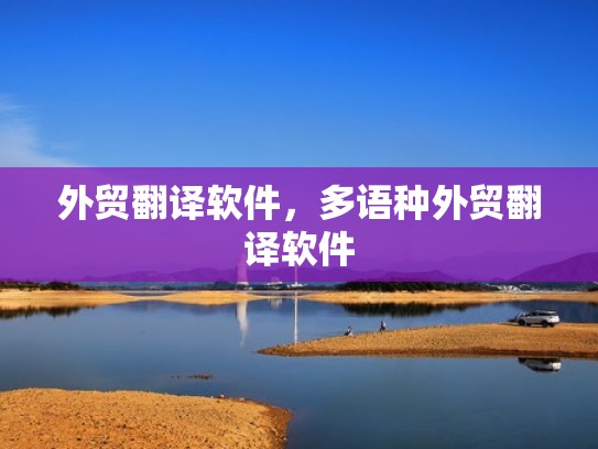 外贸翻译软件，多语种外贸翻译软件