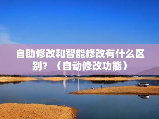 自助修改和智能修改有什么区别？（自动修改功能）