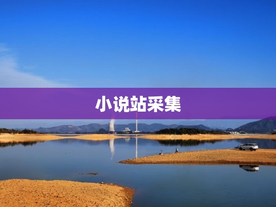 小说站采集