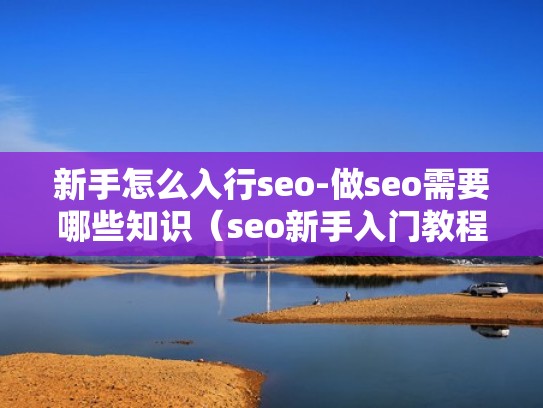新手怎么入行seo-做seo需要哪些知识（seo新手入门教程）