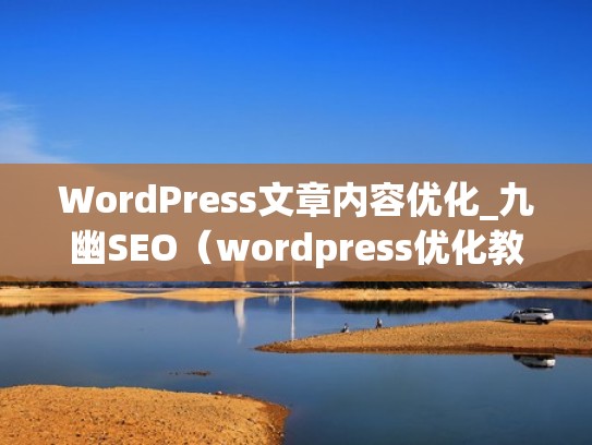 WordPress文章内容优化_九幽SEO（wordpress优化教程）