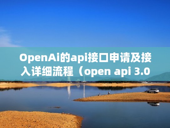 OpenAi的api接口申请及接入详细流程（open api 3.0）