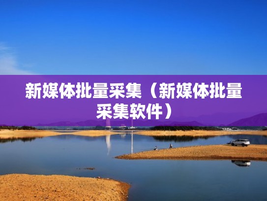 新媒体批量采集（新媒体批量采集软件）