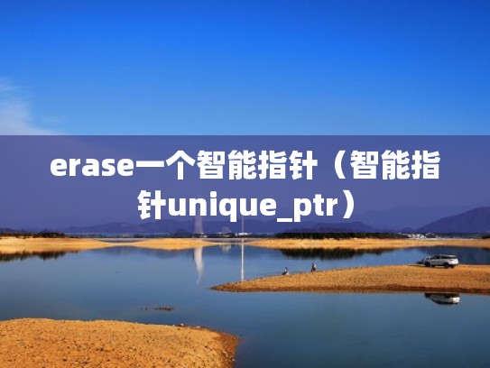 erase一个智能指针（智能指针unique_ptr）