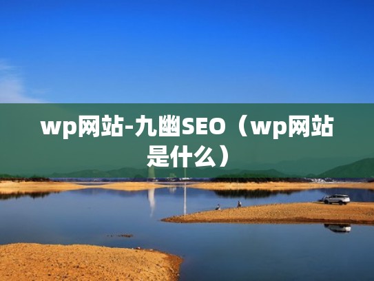 wp网站-九幽SEO（wp网站是什么）