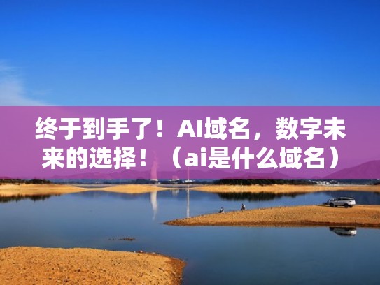 终于到手了！AI域名，数字未来的选择！（ai是什么域名）