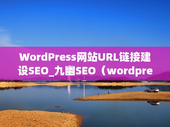 WordPress网站URL链接建设SEO_九幽SEO（wordpress添加链接）