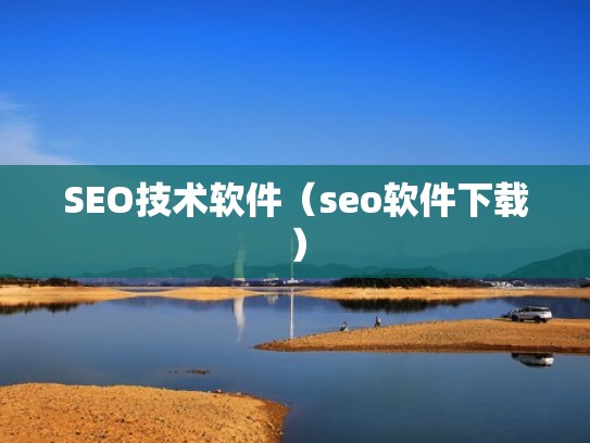 SEO技术软件（seo软件下载）