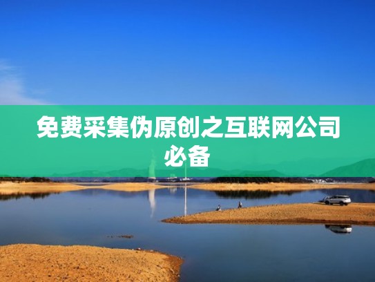 免费采集伪原创之互联网公司必备