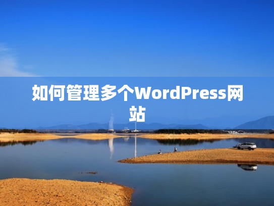 如何管理多个WordPress网站