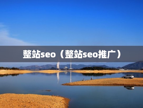 整站seo（整站seo推广）