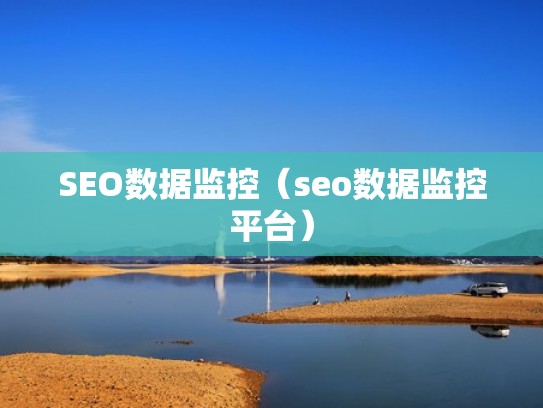SEO数据监控（seo数据监控平台）
