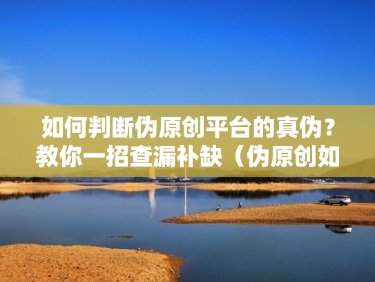 如何判断伪原创平台的真伪？教你一招查漏补缺（伪原创如何过检测）