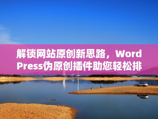 解锁网站原创新思路，WordPress伪原创插件助您轻松排名！（seo伪原创文章工具）