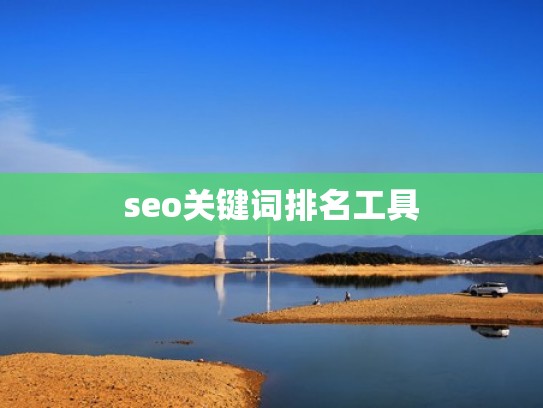 seo关键词排名工具