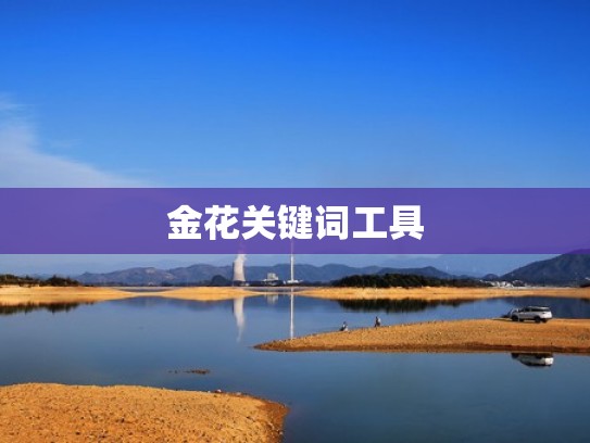 金花关键词工具