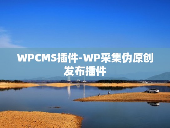 WPCMS插件-WP采集伪原创发布插件