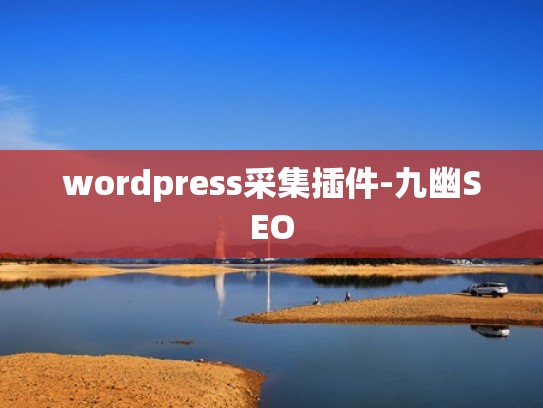 wordpress采集插件-九幽SEO