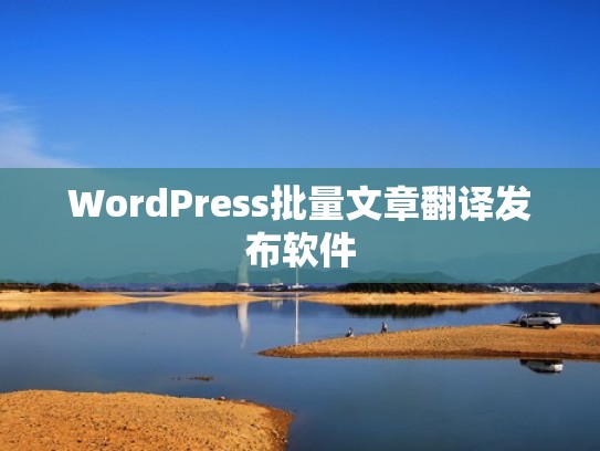 WordPress批量文章翻译发布软件