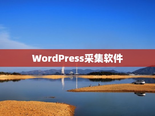 WordPress采集软件