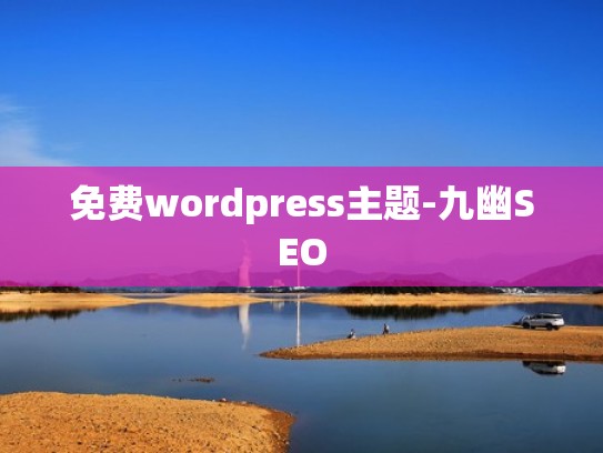 免费wordpress主题-九幽SEO