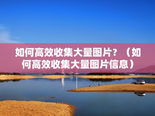 如何高效收集大量图片？（如何高效收集大量图片信息）