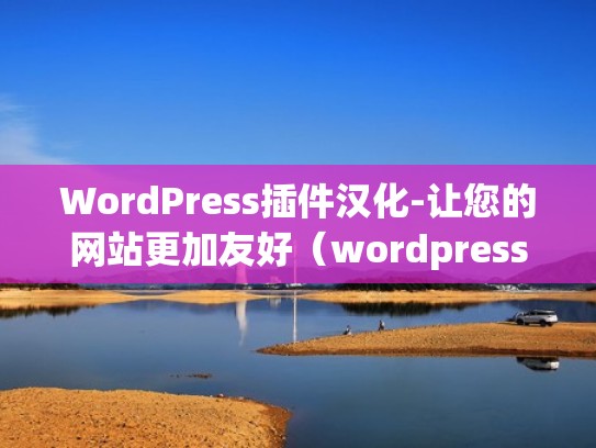 WordPress插件汉化-让您的网站更加友好（wordpress插件汉化工具）