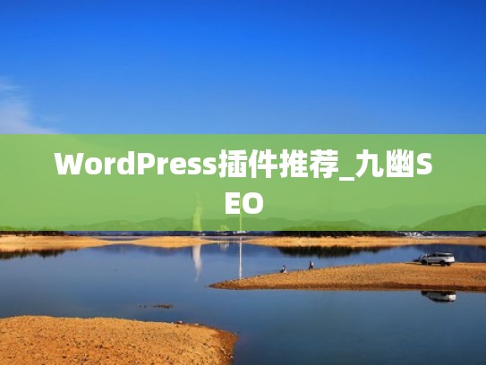 WordPress插件推荐_九幽SEO