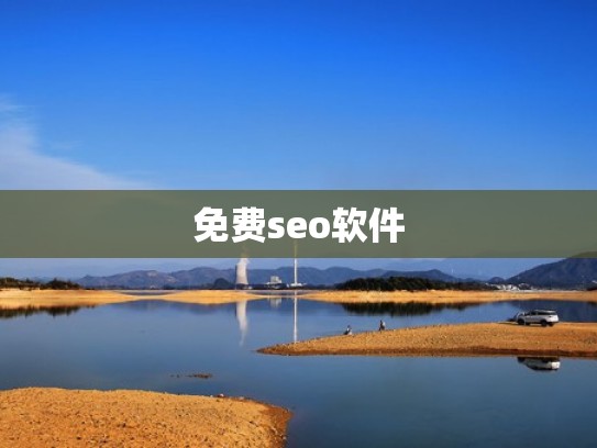 免费seo软件