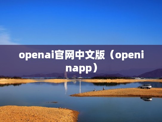 openai官网中文版（openinapp）