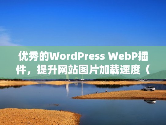 优秀的WordPress WebP插件，提升网站图片加载速度（wordpress图片展示插件）