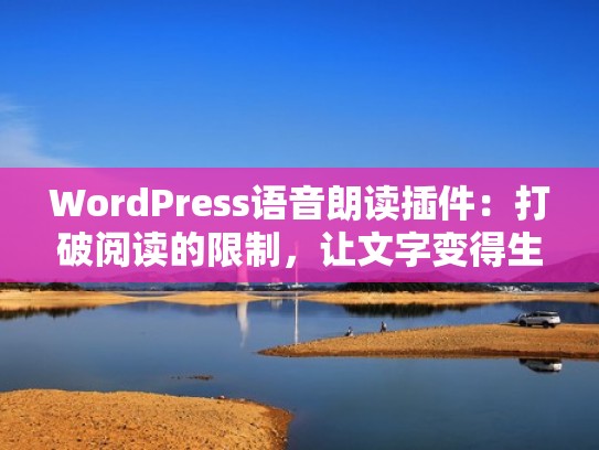 WordPress语音朗读插件：打破阅读的限制，让文字变得生动（word2016语音朗读）