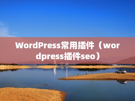 WordPress常用插件（wordpress插件seo）