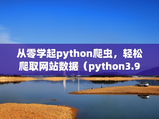 从零学起python爬虫，轻松爬取网站数据（python3.9爬取网页教程）